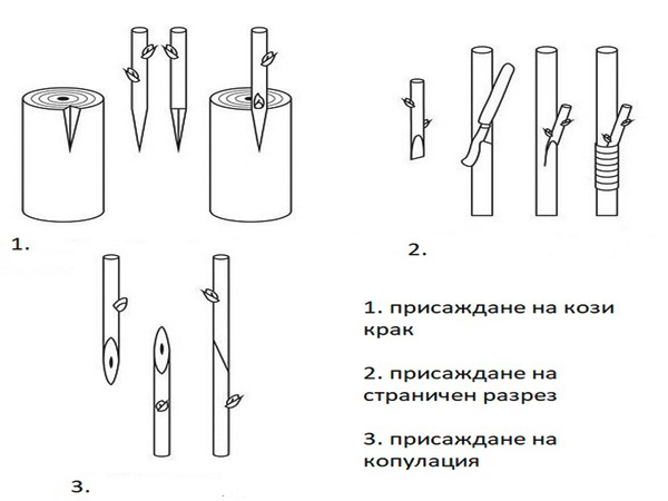 MultipartFile resource [file_data]