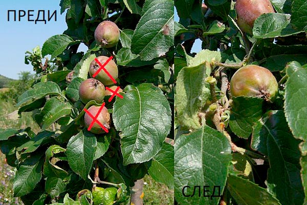 MultipartFile resource [file_data]