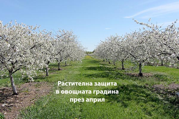 MultipartFile resource [file_data]