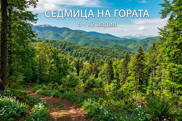 MultipartFile resource [file_data]