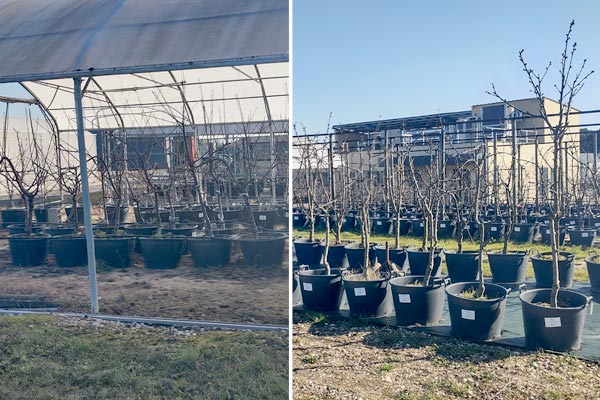 MultipartFile resource [file_data]