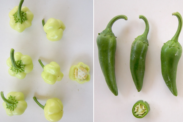 MultipartFile resource [file_data]