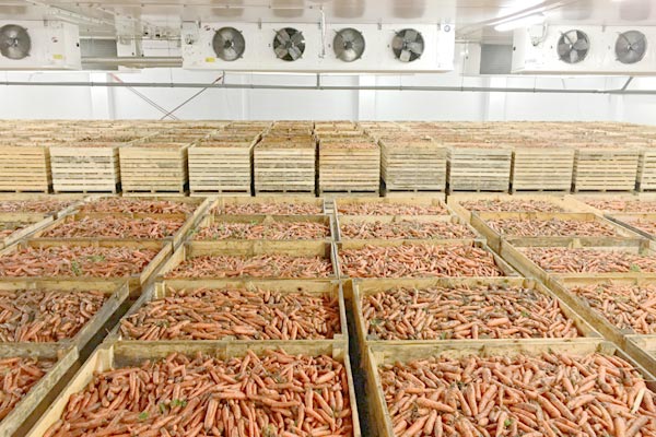 MultipartFile resource [file_data]