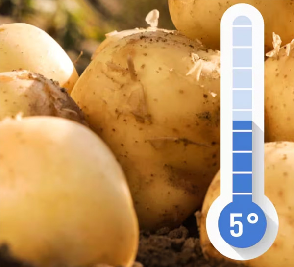 MultipartFile resource [file_data]