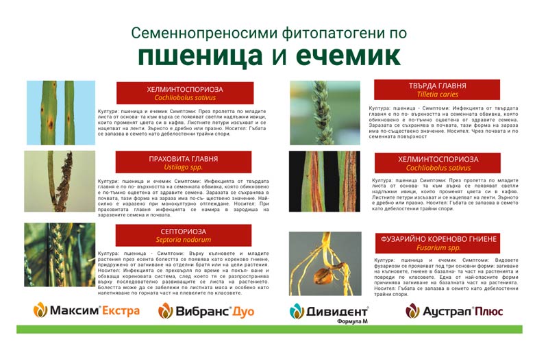 MultipartFile resource [file_data]