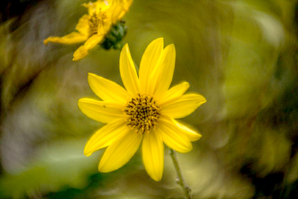 MultipartFile resource [file_data]